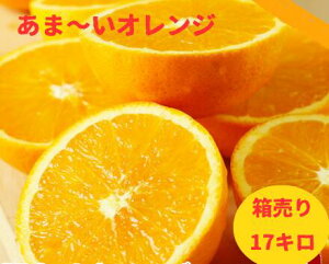 yIWzƖp@yI[XgAYzIW17L@yX̃IWzyX^btXXzl[u@@@Mtg@ʕ@t[c@W[V[@W