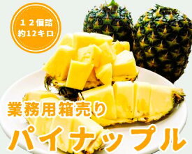 【フィリピン産】パイン　12個入り　約12キロ　業務用　箱入り　業務用訳あり高糖度パイナップル　パインジュース　パインケーキ　パインカッター　　送料無料