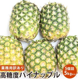 【フィリピン産】パイン 業務用訳あり高糖度パイナップル パインジュース パインケーキ 5個　約5キロ 送料無料 皮付き原体 葉っぱなし フレッシュ