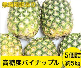 【フィリピン産】パイン　約5キロ　【店長イチオシ】【スタッフおすすめ】業務用訳あり　高糖度パイナップル　8月17日はパイナップルの日！！送料無料 皮付き原体 　葉っぱなし フレッシュ　パインカッター