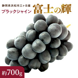 【静岡県浜松市三ヶ日産】ブラックシャイン「富士の輝」1房（約700g）ぶどう 夏 限定 大粒 ブドウ
