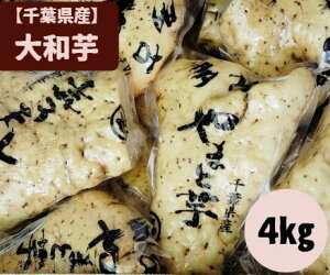 yt QnYza 4kg  }gC  Ƃ@˂΂@@H@{@N@H@ہ@Ƃ낲с@肨낵@g@ϕ@S@Ƃ