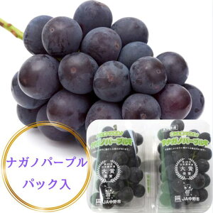 쌧Y@iKmp[vpbN@390O×1Zbg@2Zbg@3Zbgyz@Ԃǂ@uhE@@Ȃ@炲Ɓ@{@Mtg@@t[cMtg@Â@W[V