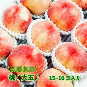 y쌧Yziʁj 15~16   peach ʕ t[c p Mtg   ̂Ή