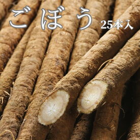 【国産】ごぼう 25本入 1本200g前後 送料無料 箱売り 業務用 ごぼう 牛蒡 ゴボウ 便秘解消 腸活 栄養満点 煮物 きんぴら 金平 野菜 ヘルシ－ 食物繊維たっぷり 腸元気 根菜 シャキシャキ サクサク 低カロリー 低カロリー高栄養 ごはんのおとも おかず おつまみ 漬物