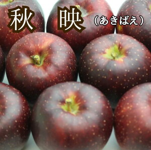 y׃X^[gzHf@΂@2.5L8ʓ@5L16ʓ@10L32ʔ@@쌧Y@񂲁@ь@S@t[c@@蕨@v[g@@쌧@t