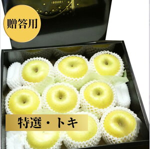 yXYYz gL@2.5kg 9   t[c Y I p Ε v[g Mtgyzy2.5kgzy9z