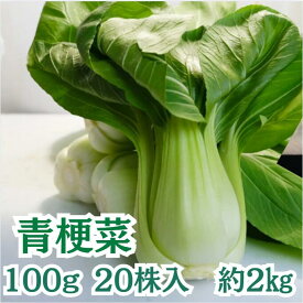 【静岡県産】 青梗菜 100g20株入り 約2kg ちんげんさい 送料無料 業務用 クール チンゲンサイ サラダ chingensai 野菜 おひたし シャキシャキ チンゲン菜 スープ あんかけ 中華炒め クリーム煮 食物繊維 緑 万能 彩り 手軽 万能野菜 時短 時短おかず 中華 緑野菜