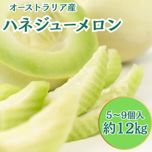 yI[XgAYznlW[ 5~9 12LP[X I[XgAY  t[c ʕ i  W[V[ ʓ  I x lC Â Â fU[g 