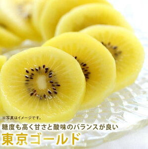 【11月中旬頃入荷予定】 東京ゴールド 静岡県産 キウイ 約1キロ11〜12個 約2キロ22〜24個 約3キロ 33〜36個 フルーツ プレゼント ギフト 贈答用 送料無料 甘みたっぷり 甘くてジューシー 高級フ