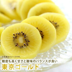 y׃X^[gz S[h ÉY LEC 1L11`12 2L22`24 3L 33`36 t[c v[g Mtg p  Â݂Ղ ÂăW[V[ t[c 