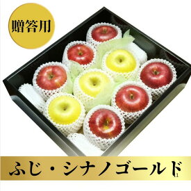 【長野県産　青森県産】ふじ・シナノゴールド 約2.5kg 9個入 送料無料 りんご フルーツ 国産 特選 贈答用 お歳暮 プレゼント ギフト 定番人気 黄金色 林檎 リンゴ 果物 特産品 化粧箱 フルーツ 国産 美味しい 甘い 糖度 セット 高評価 高級 サクサク