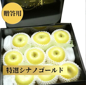 【青森県産長野産】青りんご シナノゴールド 約2.5kg 9個入 送料無料 りんご フルーツ 国産 特選 贈答用 お歳暮 プレゼント ギフト リンゴ 林檎 甘い 果物 フルーツ 化粧箱 糖度 高級 高評価 サクサク 人気 美味しい 黄金色 シャキシャキ みずみずしい 果汁たっぷり
