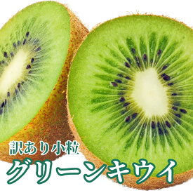 【長野県産】訳あり小粒キウイ 1キロ・2キロ・4キロ・10キロ 1ヶ約50～60グラム 送料無料 訳あり 小粒サイズ 食べきりサイズ 栄養たっぷり おやつ 子どもおやつ お弁当 ランチ フルーツ 旬 サラダ スムージー 甘い 小粒 ビタミンC お得 徳用 国産 安い トロピカルフルーツ
