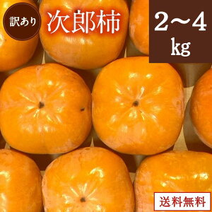 yÉYz󂠂莟Y`(ÉlkY) Ynp@EʃTCY 4kg i9`22ʑOj 󂠂i ` ʕ t[c Mtg v[g Ɨp Ɨp