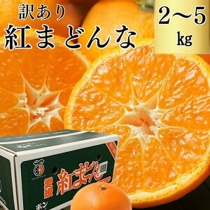 y12{׎攭zyQYz󂠂g܂ǂ