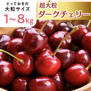 y\񒍕2025NX}XɊԂɍ킹܂z1222y`Yz嗱`F[ 1L 2L 4L 8L@`F[  N[ yTeB[i푼z Mtg   t