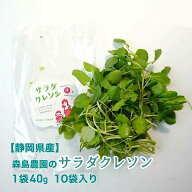 【静岡県産】【森島農園】 サラダクレソン 10パック入り 1パック40g入り 送料無料 ハーブ イタリアン フ…