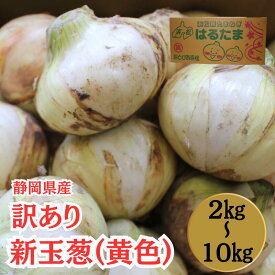 販売開始【静岡県浜松市産】訳あり新玉葱（黄色）Lサイズ1個約230～300g 2キロ 約8個入 5キロ約20個入 10キロ約43個入 玉葱　玉ネギ　玉ねぎ　タマネギ 春の風物詩 甘味 新鮮 新物 サラダ カレー スープ 大好評 人気商品 炒め物 ハンバーグ すりおろし みじん切り 自宅用