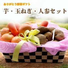 芋・玉・人参セット ギフト用 ラッピング プレゼント 母の日 父の日 定番野菜 国産野菜 野菜ギフト ありがとう サンキューギフト Thanksギフト 定番野菜 詰め合わせ 定番人気 贈答品 じゃがいも 玉ねぎ 人参 感謝 御礼 お礼 手土産 常備野 カレーセット 肉じゃがセット