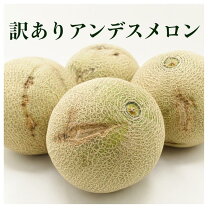 楽天市場】アールスメロン（総個数4個入り）（メロン｜フルーツ・果物 