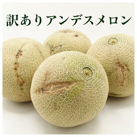 【茨城県産】訳ありアンデスメロン3玉約5キロ・4玉約4キロ・5玉約5キロ・6玉約6キロメロン melon めろん 青肉メロン 赤肉メロン 国産メロン 国産 マスクメロン クラウンメロン アールスメロン アンデスメロン 高糖度 甘い 送料無料 人気 旬 市場直送 フルーツ 家庭用