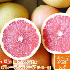 グレープフルーツ 送料無料の人気商品 通販 価格比較 価格 Com