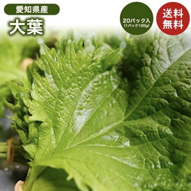 【愛知県産】大葉 1パック100g 20入り 2kg 箱売り 送料無料