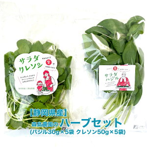 ハーブ 野菜の人気商品 通販 価格比較 価格 Com