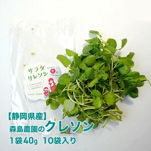 yÉYzyX_z N\ 10pbN 1pbN40g  n[u C^A tX k͔|