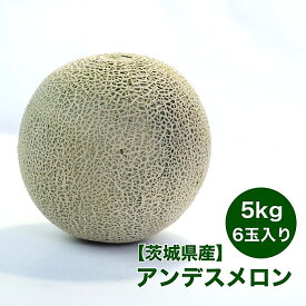 【茨城県産】アンデスメロン 5kg 6玉入り メロン 送料無料