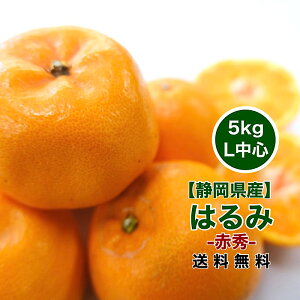 ポンカン みかんの人気商品 通販 価格比較 価格 Com ポンカン みかんの人気商品 通販 価格比較 価格 Com