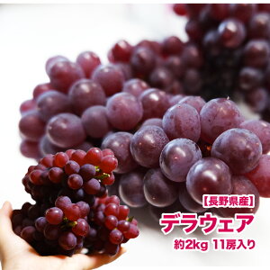 y910܂Łzy쌧YzfEFA 2kg 11[ f ̃~N  t[c ʕ