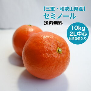 みかん 10kg 箱の人気商品 通販 価格比較 価格 Com