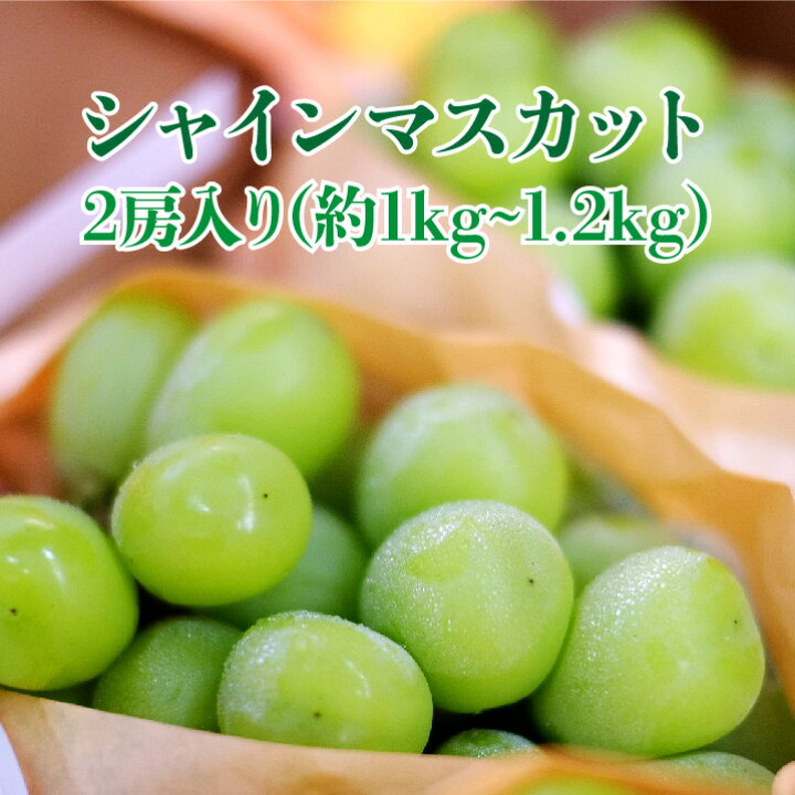 楽天市場】8月29日より順次販売【山梨県産】シャインマスカット 1.2キロ (2房入り) ぶどう シャインマスカット フルーツ ギフト プレゼント 送料無料 贈答用 : はまべじ 楽天市場】8月29日より順次販売【山梨県産】シャインマスカット 1.2キロ (2房入り) ぶどう シャインマスカット フルーツ ギフト プレゼント 送料無料 贈答用 : はまべじ