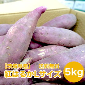 【静岡千葉茨城県産】紅はるか 5kg Lサイズ 12〜16本入れ サツマイモ さつまいも 薩摩芋
