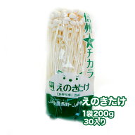 【長野県産】えのきたけ 30個入り 6kg 1個200g 送料無料 えのき 榎茸 きのこ キノコ ナメタケ ユキノシタ…