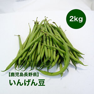 yYz񂰂܂ 2kg  񂰂 CQ ӂ܂ Ox