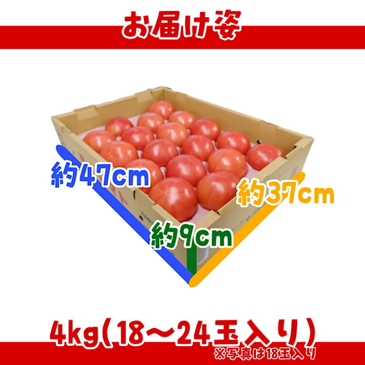 静岡県産大玉トマト 4kg 18-24玉入り 送料無料 箱売り リコピン とまと tomato ミネストローネ 料理 調理 食 グルメ  : はまべじ
