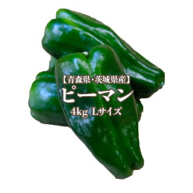 【国産】ピーマン 4kg Lサイズ約80-90個入り 約50g 送料無料 greenpepper ナス科 トウガラシ属 piment pimento ビタミンC β-カロテン