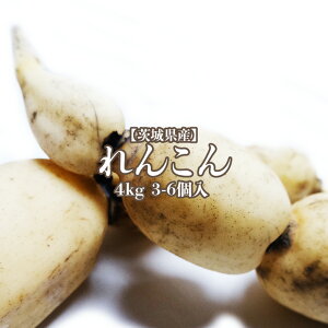 y錧Yz񂱂 4kg 3-6 @ R nX 