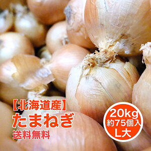 玉ねぎ 1kgの人気商品 通販 価格比較 価格 Com 玉ねぎ 1kgの人気商品 通販 価格比較 価格 Com
