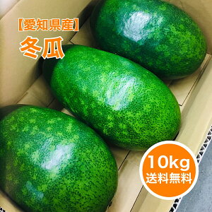 ylsYz10kg ~Z 3ʓ ܂邲 Ƃ  Yn X[v MǑ΍  