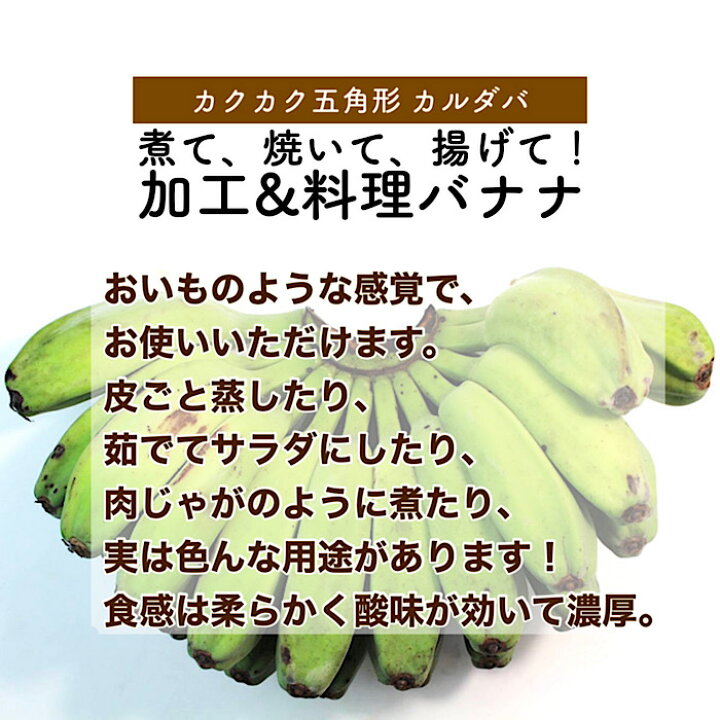 楽天市場】【フィリピン産】カルダバ・バナナ 10kg 4〜7房入り 箱売り 送料無料 調理 加工 バナナ 調理用バナナ 料理用バナナ : はまべじ 楽天市場】【フィリピン産】カルダバ・バナナ 10kg 4〜7房入り 箱売り 送料無料 調理 加工 バナナ 調理用バナナ 料理用バナナ : はまべじ