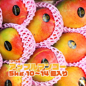 【メキシコ産】アップルマンゴー 10~14個入 約5kg 箱売り 送料無料 マンゴー