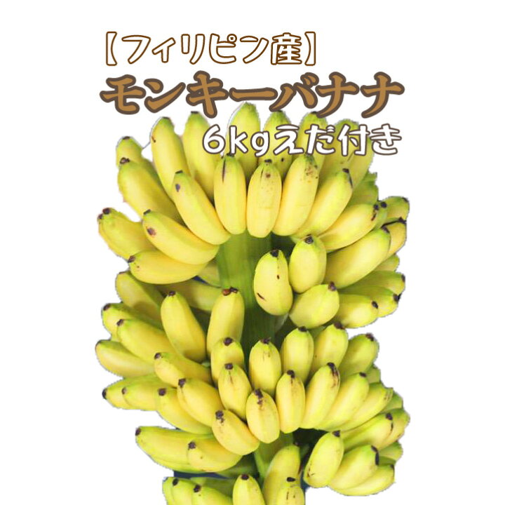 楽天市場 フィリピン産 モンキーバナナ 6ｋｇ 枝付き 箱売り 送料無料 セニョリータバナナ ベイビースイート イナルニバ バナナ はまべじ