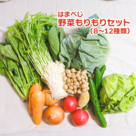 【はまべじ特製】野菜もりもりセット 8~12種類入り 送料無料 野菜 旬 料理 贈り物 ギフト おうちじかん 自粛 ステイホーム 単身赴任 上京 野菜セット