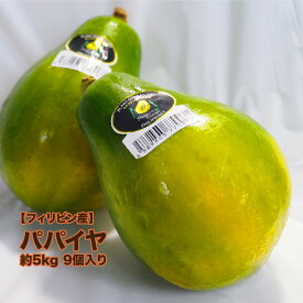 【フィリピン産】パパイヤ 約5kg 8個から10個入れ 送料無料 パパイア 木瓜 トロピカルフルーツ 乳瓜