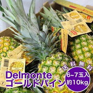 パイン パイナップルの人気商品 通販 価格比較 価格 Com パイン パイナップルの人気商品 通販 価格比較 価格 Com