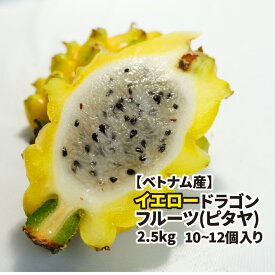 楽天市場 黄色 フルーツ 果物 食品 の通販